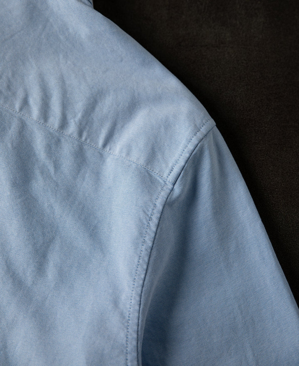 Classic Button-Down Oxford Shirt - Blue